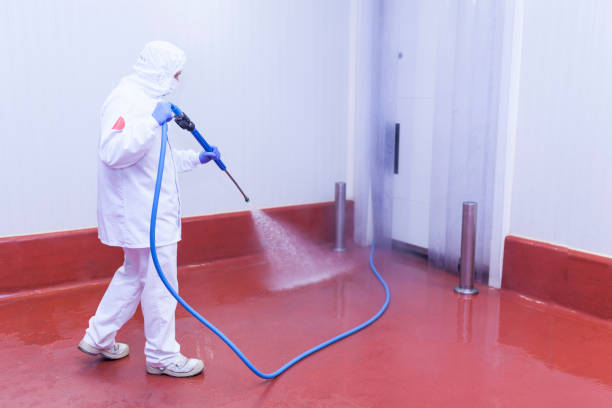 Trusted Ridge, NY Pressure Washing Services Experts