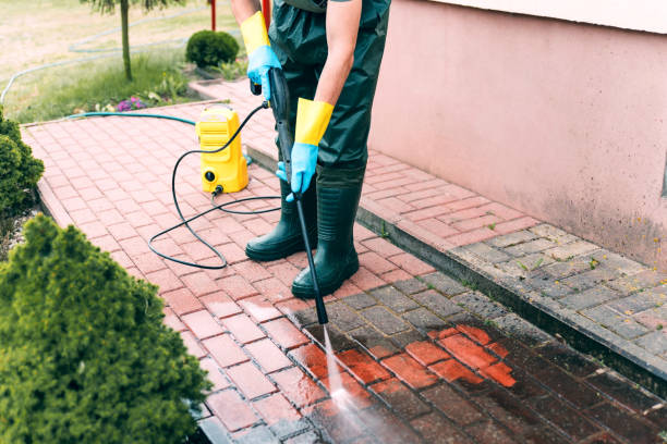 Best Gutter Cleaning  in Ridge, NY