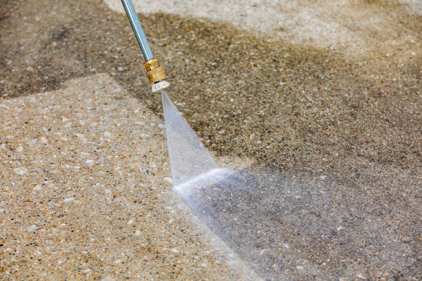 Best House Exterior Washing  in Ridge, NY