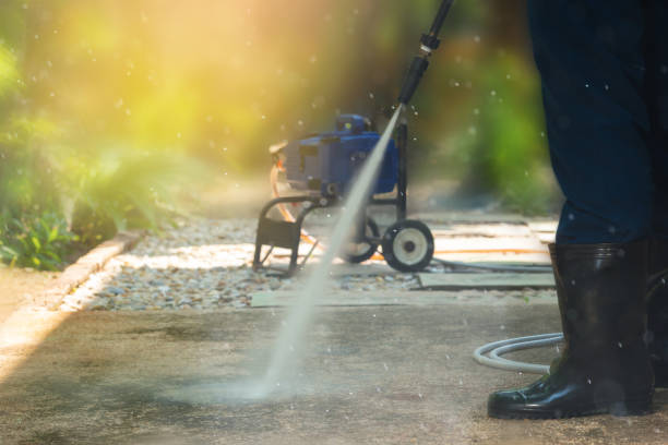 Best Solar Panel Cleaning  in Ridge, NY